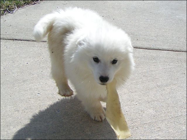 boy-1.jpg