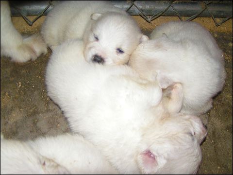 pict0749.jpg