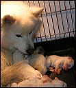 pict0012