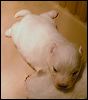 PICT0030.JPG 