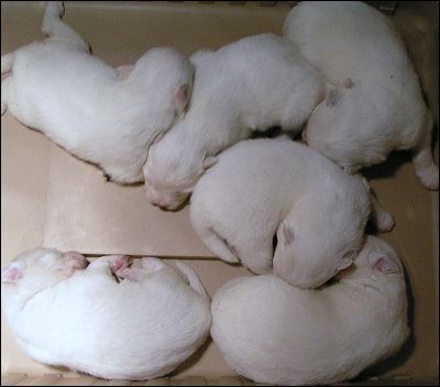 pict0028.jpg