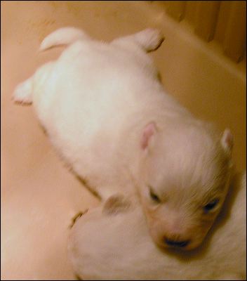 pict0030.jpg
