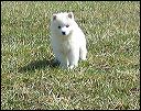 pict0097