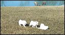 pups-4