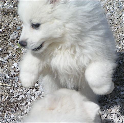pict0099.jpg