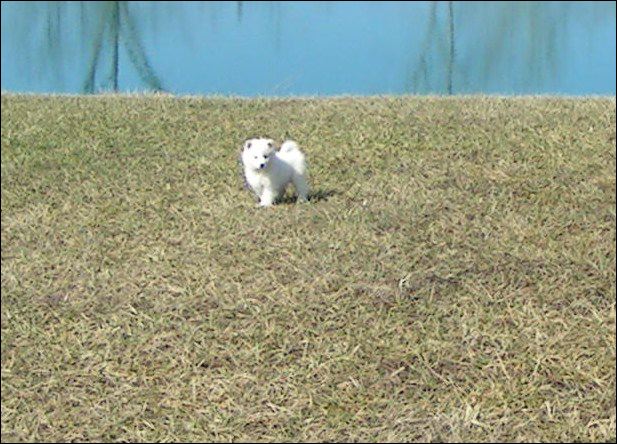 pict0104.jpg