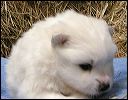 boy_3