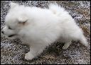 pict0012