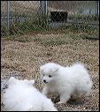 pict0019