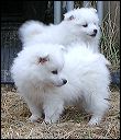 pict0023