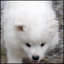 pict0025