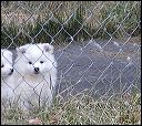 pict0175