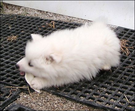 pict0003.jpg