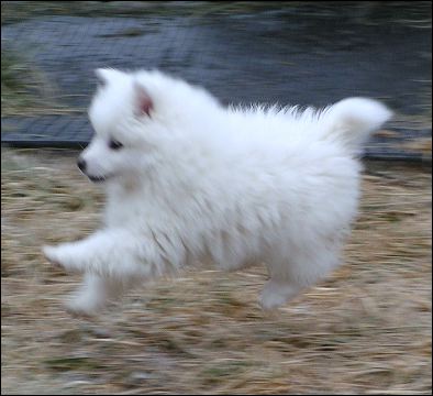 pict0010.jpg