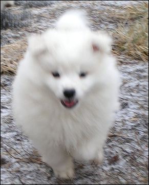 pict0011.jpg