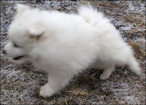 pict0012.jpg