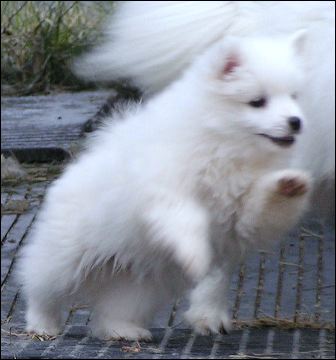 pict0016.jpg