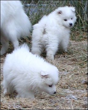 pict0021.jpg