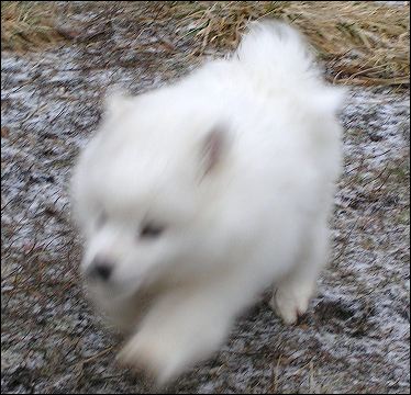 pict0022.jpg