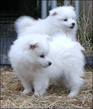 pict0023.jpg