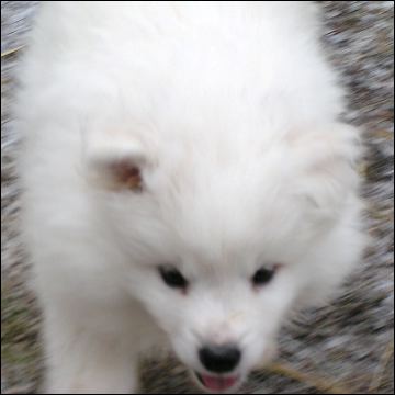 pict0025.jpg