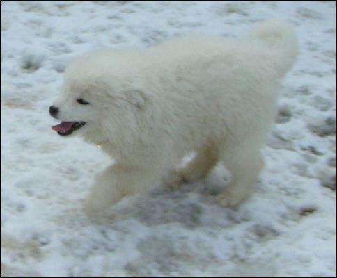 pict0045.jpg
