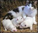 pict0002