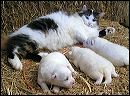 pict0005