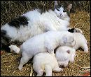 pict0006