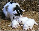 pict0010