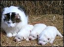 pict0011
