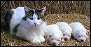 pict0014