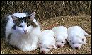 pict0015