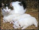 pict0016