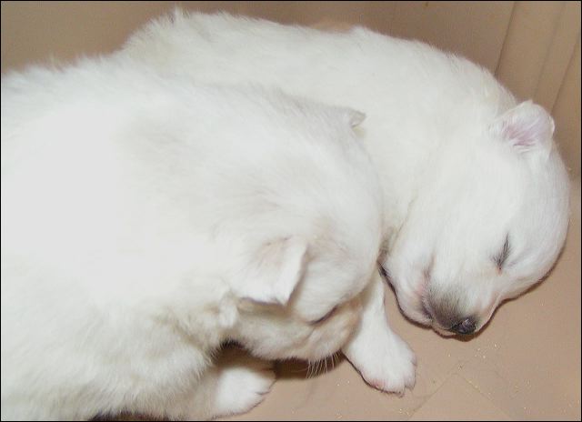 3wks-2.jpg