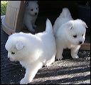 pict0002