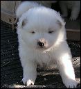 pict0004