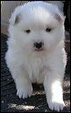 pict0005
