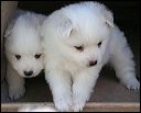 pict0006