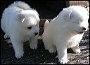 pict0008