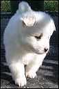 pict0012