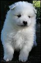 pict0019