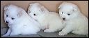 pict0022