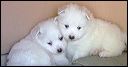 pict0027