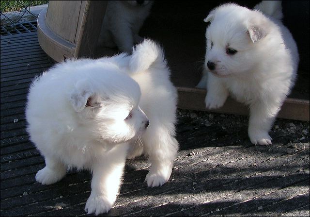 pict0003.jpg