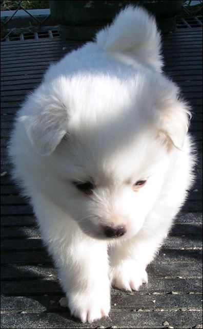 pict0010.jpg