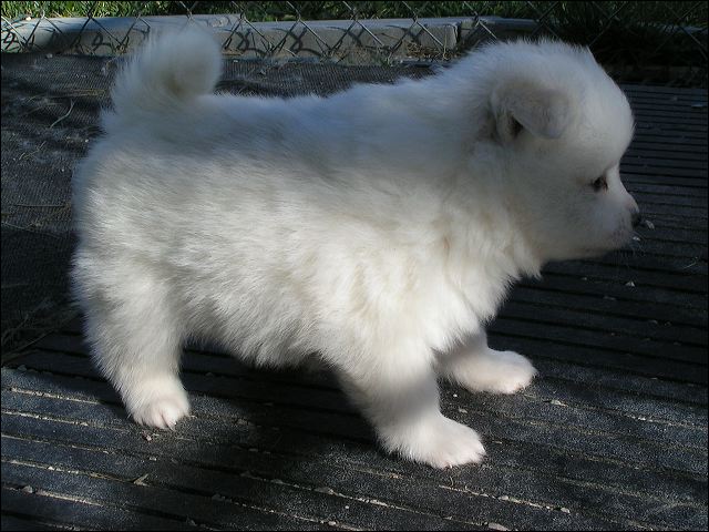 pict0017.jpg