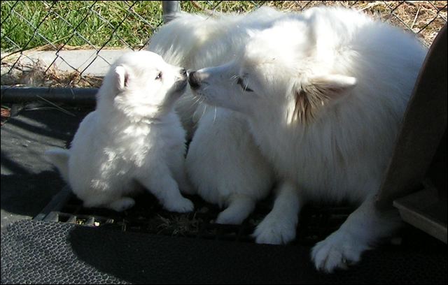 mommyl~1.jpg