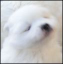 pict0026