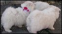 pict0048